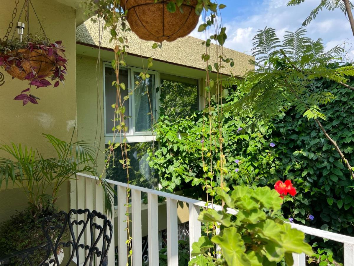 Dickinson Guest House, Guadalajara Expo Екстер'єр фото