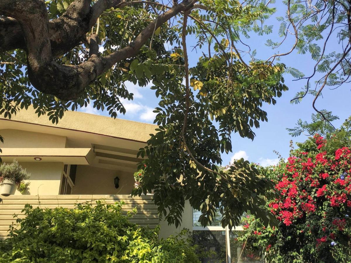 Dickinson Guest House, Guadalajara Expo Екстер'єр фото